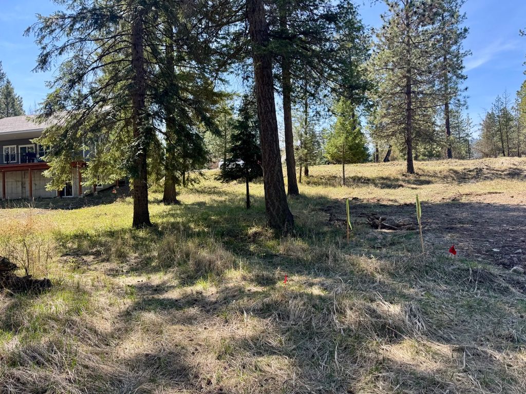 Nhn Mossy Rock Court, Thompson Falls, MT 59873 photo 5