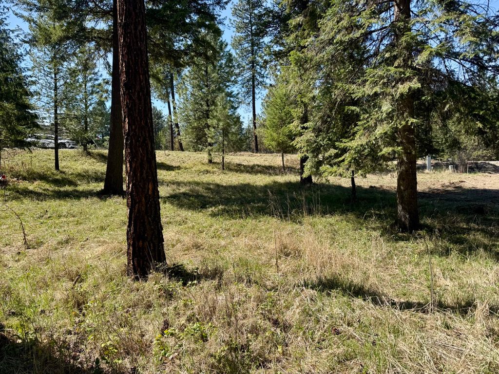 Nhn Mossy Rock Court, Thompson Falls, MT 59873 photo 8