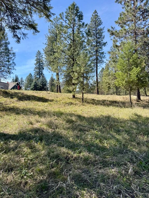 Nhn Mossy Rock Court, Thompson Falls, MT 59873 photo 9