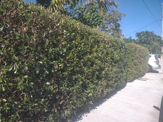 2311 Patterson Avenue, Key West, FL 33040