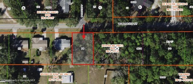 8534 W Basilico Street, Crystal River, FL 34428