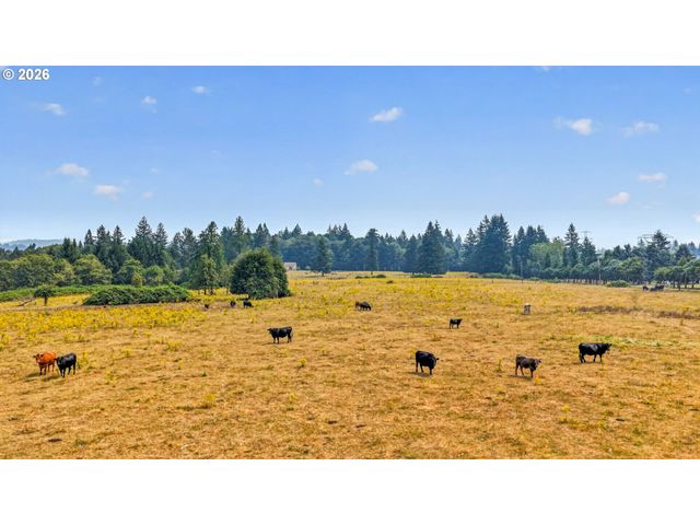 49009 Se BATY Rd, Sandy, OR 97055
