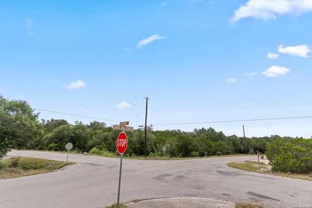 204 Freedom, Fischer, TX 78623