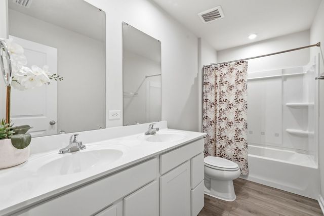 524 Wild Sienna, Hampshire, IL 60140