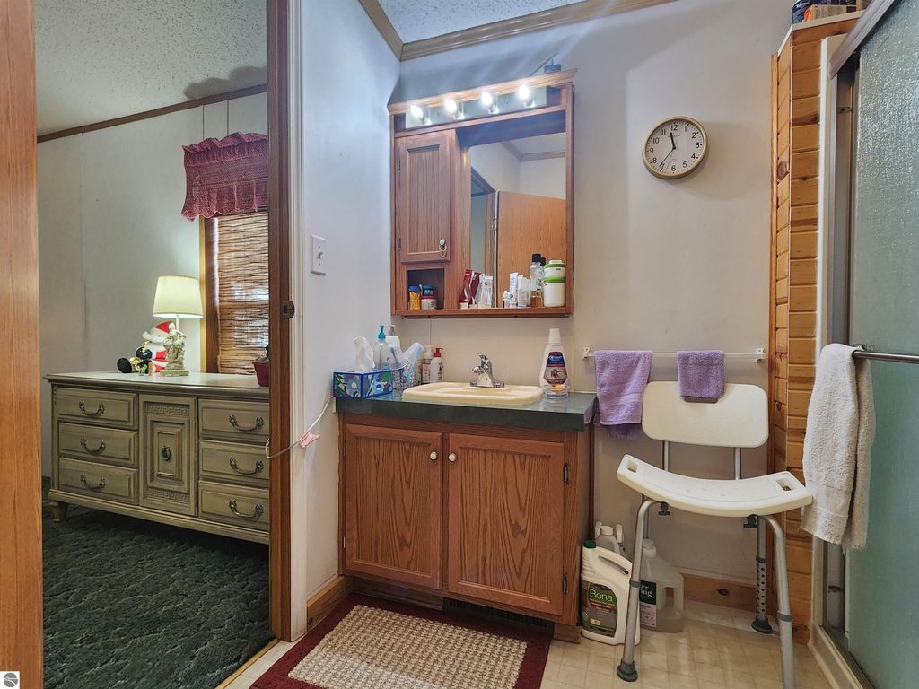 Image 20 of property listing at 3362 Lassie Drive, Alma, MI 48801