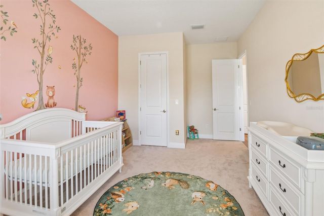 7510 ASHBROOKE PINE LOOP, Odessa, FL 33556