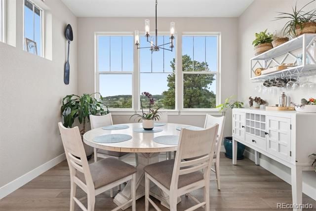 154 E Lost Pines Drive, Monument, CO 80132