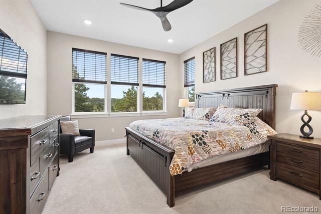 154 E Lost Pines Drive, Monument, CO 80132