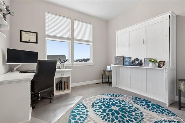 154 E Lost Pines Drive, Monument, CO 80132
