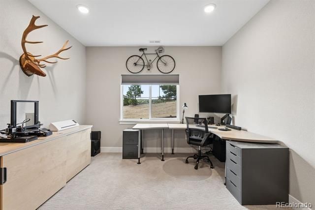 154 E Lost Pines Drive, Monument, CO 80132
