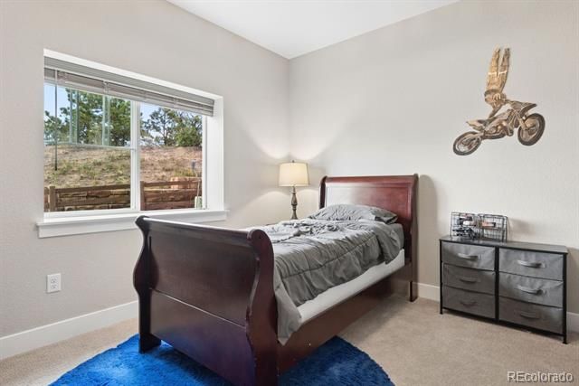 154 E Lost Pines Drive, Monument, CO 80132