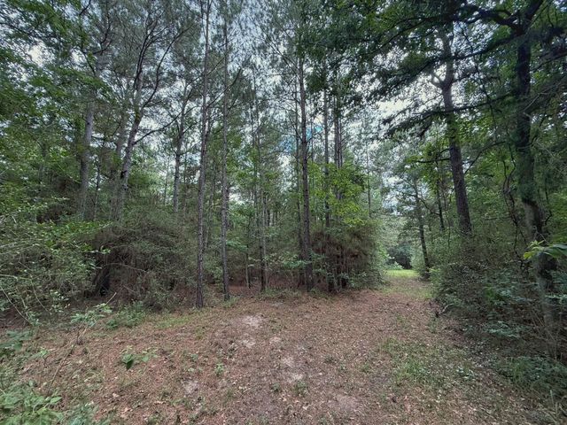 TBD Cr 298, Oakwood, TX 75855