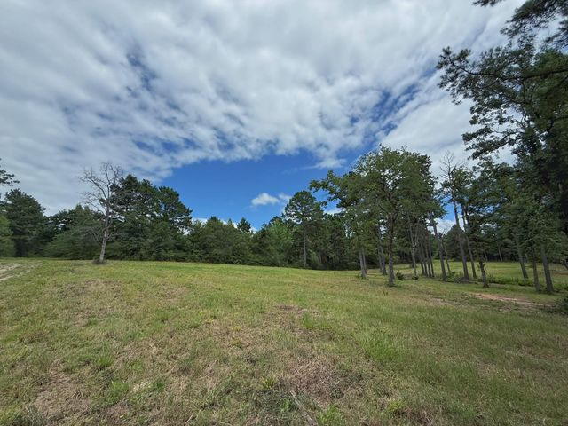 TBD Cr 298, Oakwood, TX 75855
