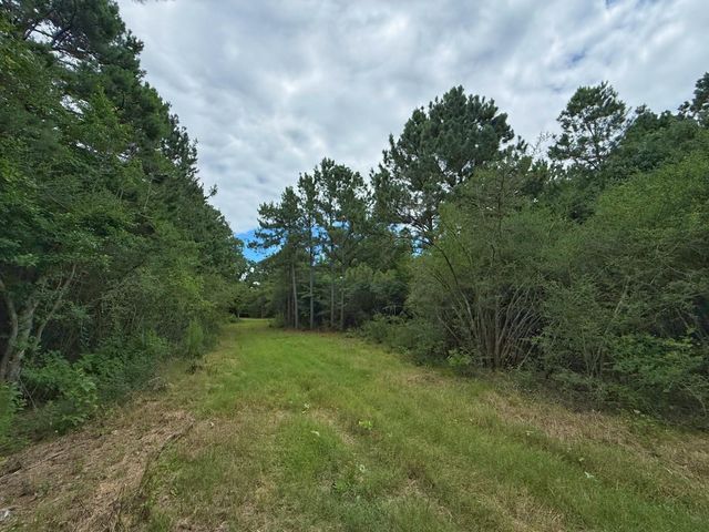 TBD Cr 298, Oakwood, TX 75855