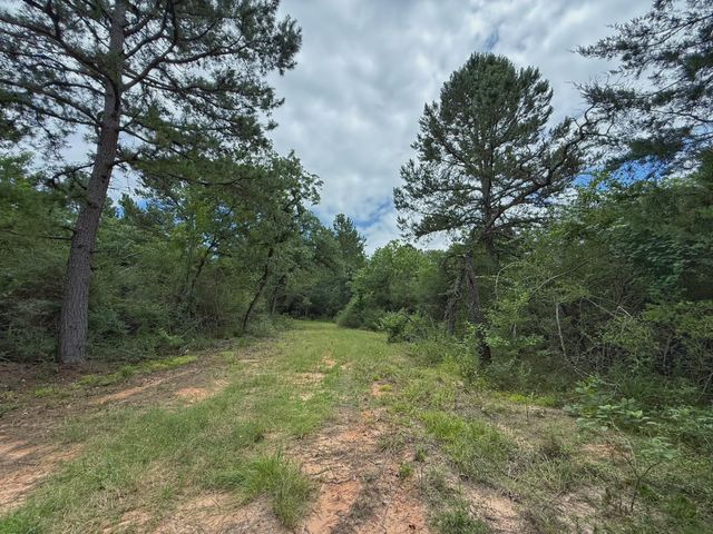 TBD Cr 298, Oakwood, TX 75855