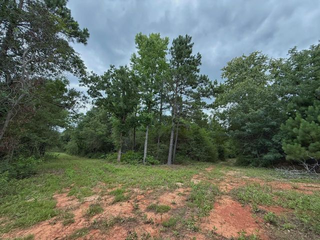 TBD Cr 298, Oakwood, TX 75855