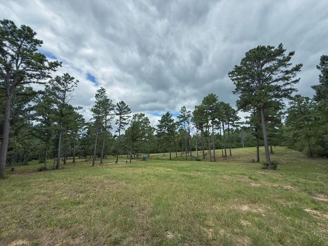 TBD Cr 298, Oakwood, TX 75855