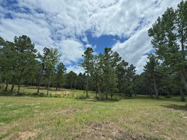 TBD Cr 298, Oakwood, TX 75855
