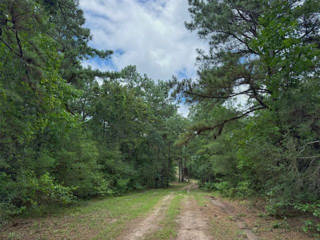 TBD Cr 298, Oakwood, TX 75855