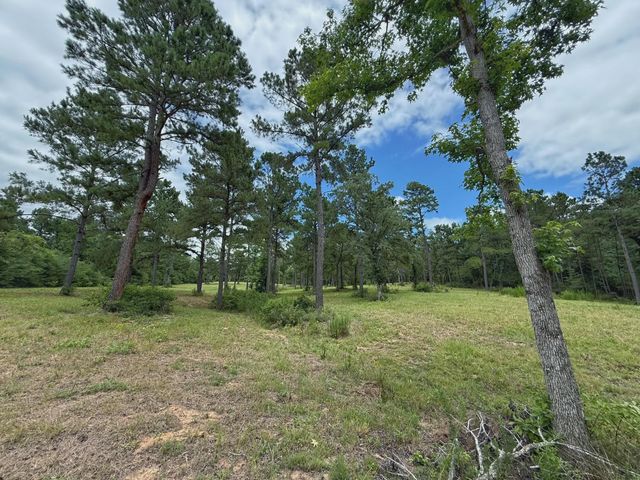 TBD Cr 298, Oakwood, TX 75855