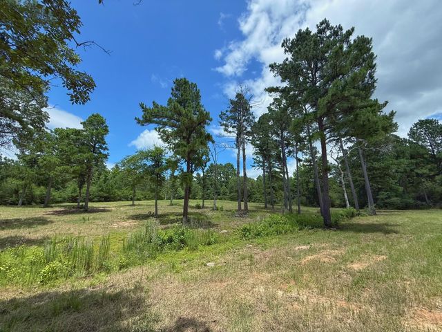 TBD Cr 298, Oakwood, TX 75855