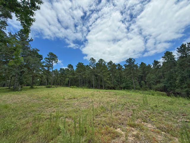 TBD Cr 298, Oakwood, TX 75855