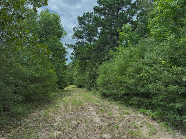 TBD Cr 298, Oakwood, TX 75855