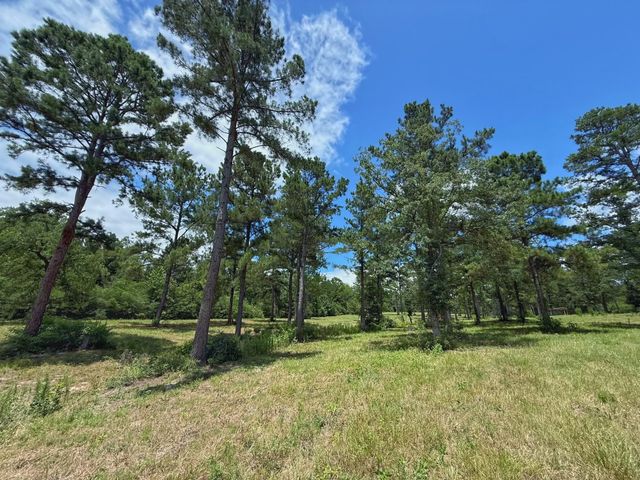 TBD Cr 298, Oakwood, TX 75855