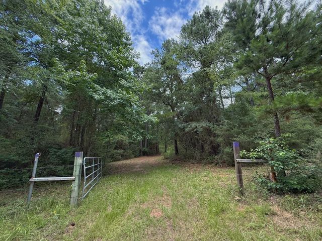 TBD Cr 298, Oakwood, TX 75855