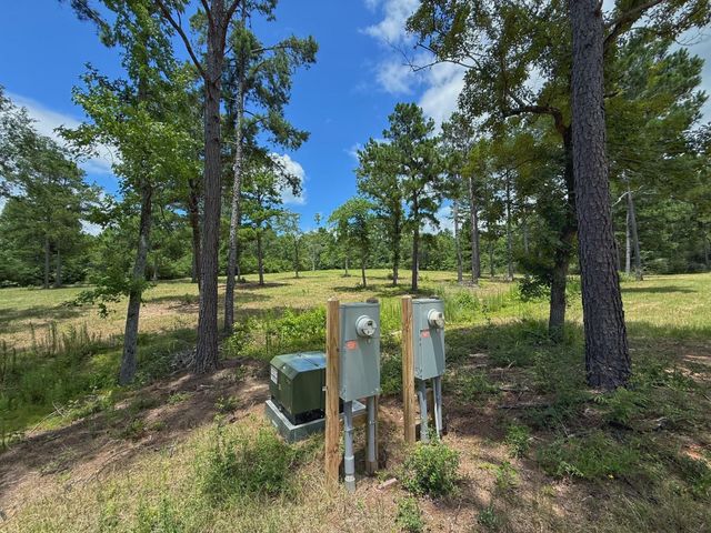 TBD Cr 298, Oakwood, TX 75855