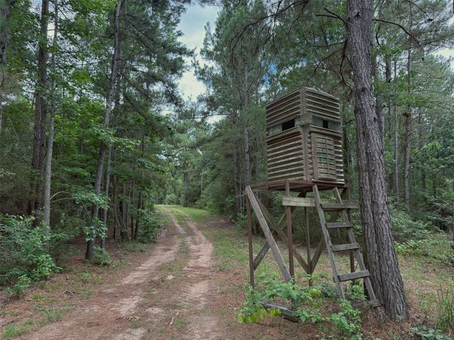 TBD Cr 298, Oakwood, TX 75855