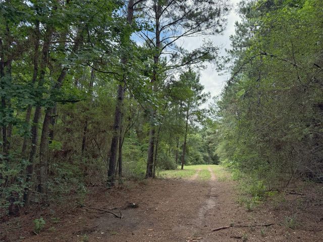 TBD Cr 298, Oakwood, TX 75855