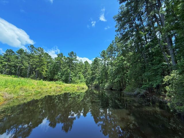 TBD Cr 298, Oakwood, TX 75855