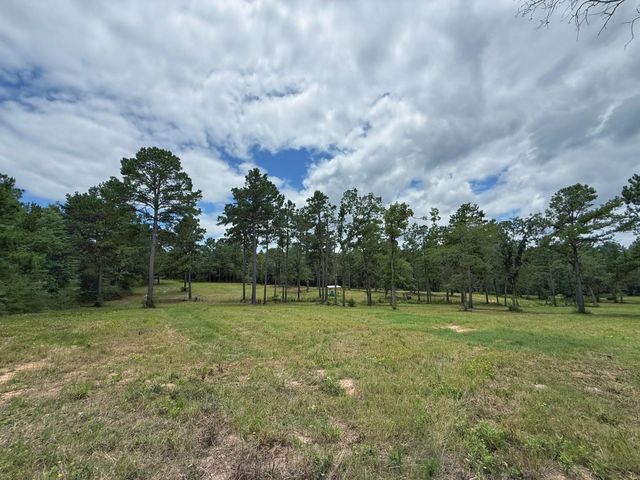 TBD Cr 298, Oakwood, TX 75855