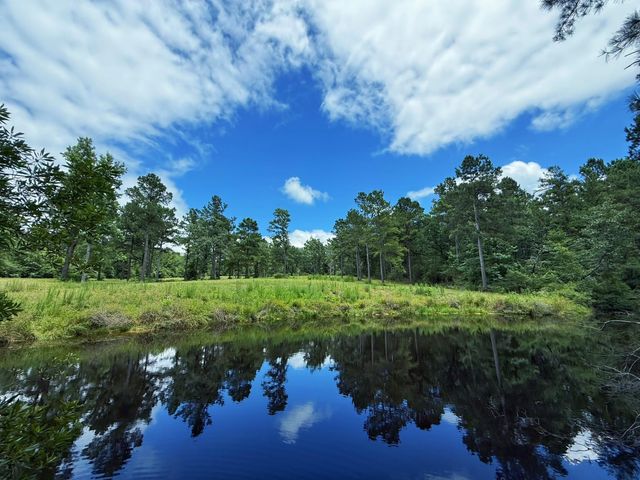 TBD Cr 298, Oakwood, TX 75855