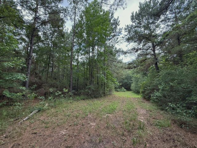 TBD Cr 298, Oakwood, TX 75855