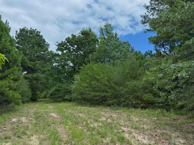 TBD Cr 298, Oakwood, TX 75855