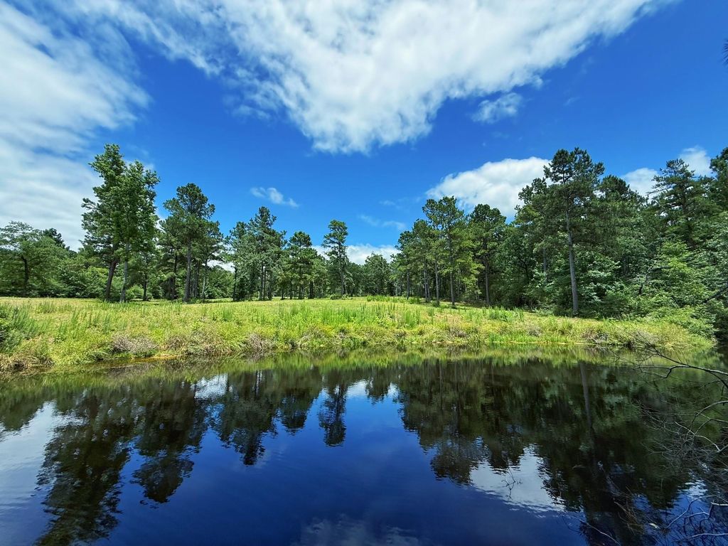 TBD Cr 298, Oakwood, TX 75855