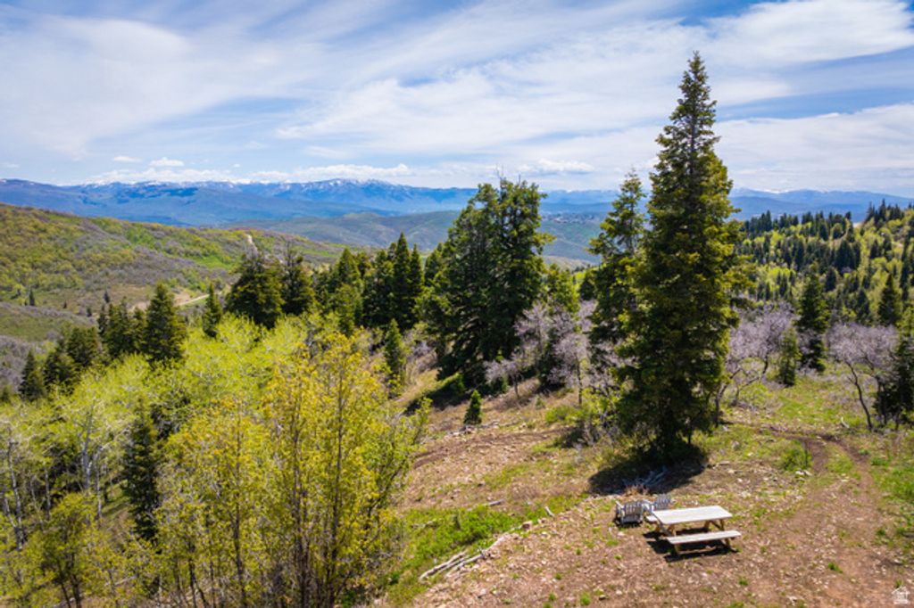 Image 17 of property listing at 1667 W TOLLGATE CANYON RD, Coalville, UT 84017