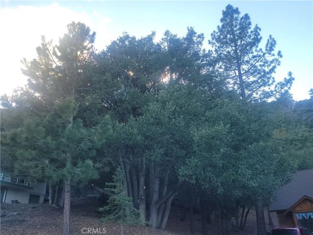 0 Desert View, Wrightwood, CA 92397