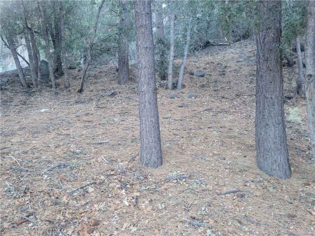 0 Desert View, Wrightwood, CA 92397