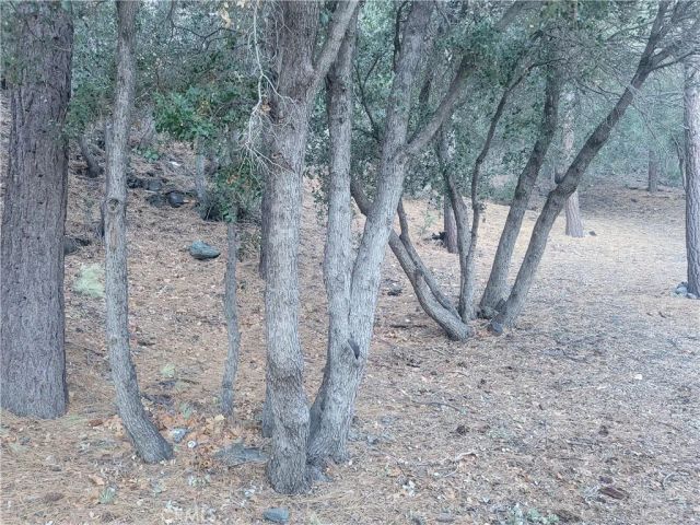 0 Desert View, Wrightwood, CA 92397