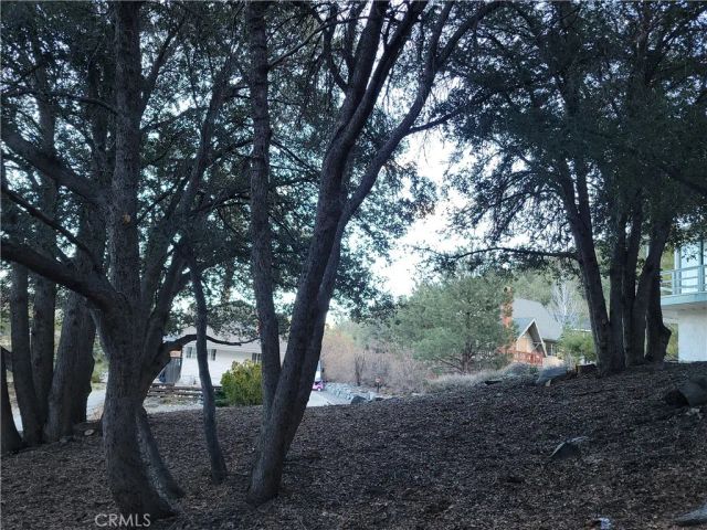 0 Desert View, Wrightwood, CA 92397