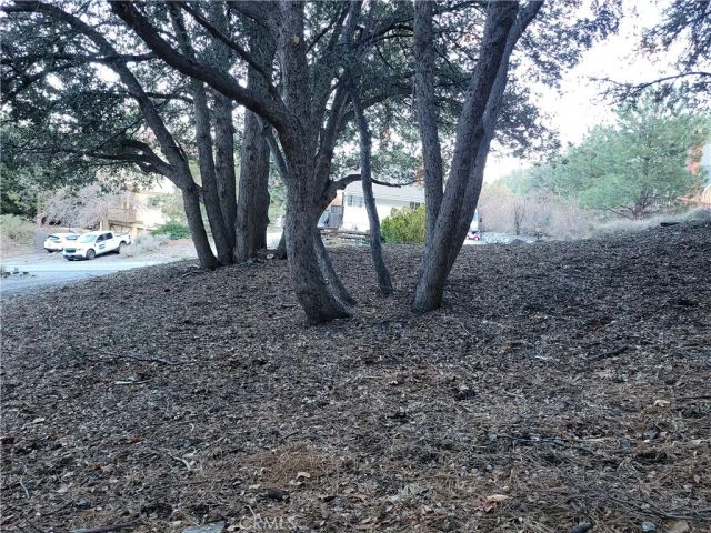 0 Desert View, Wrightwood, CA 92397