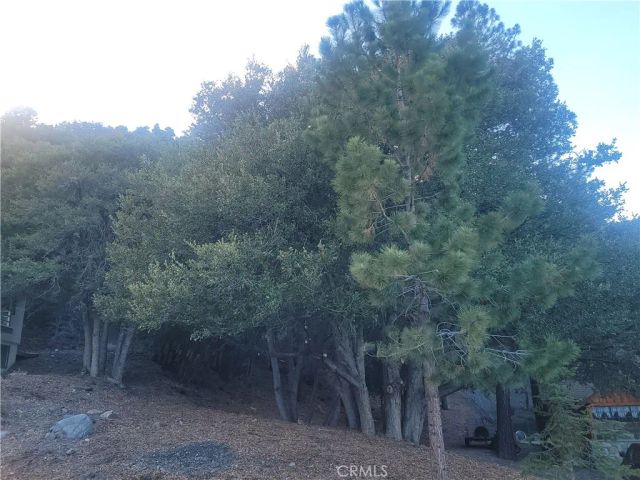 0 Desert View, Wrightwood, CA 92397
