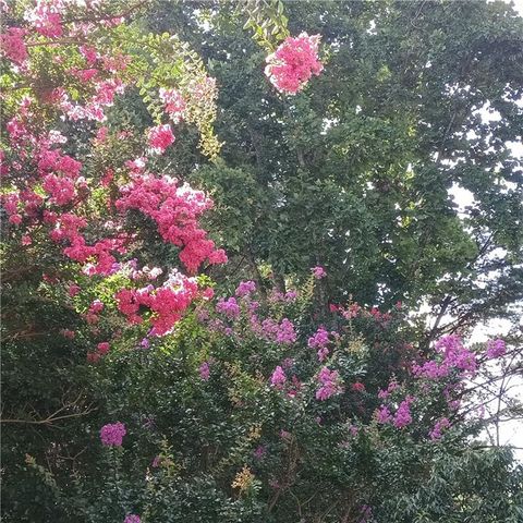 2572 Pembrooke Way, Lawrenceville, GA 30044