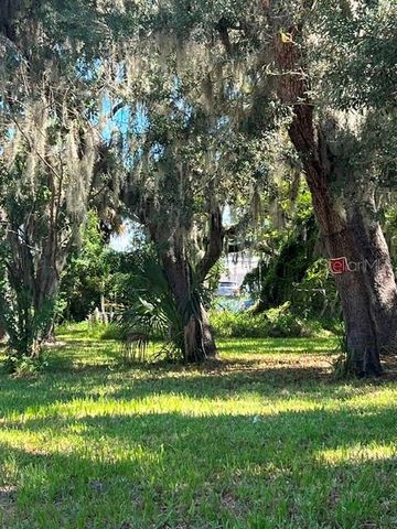 19 W BADGER AVENUE, Eustis, FL 32726