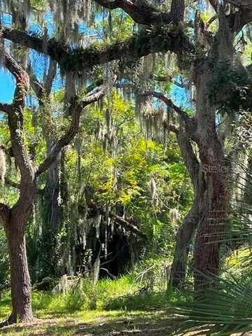 19 W BADGER AVENUE, Eustis, FL 32726