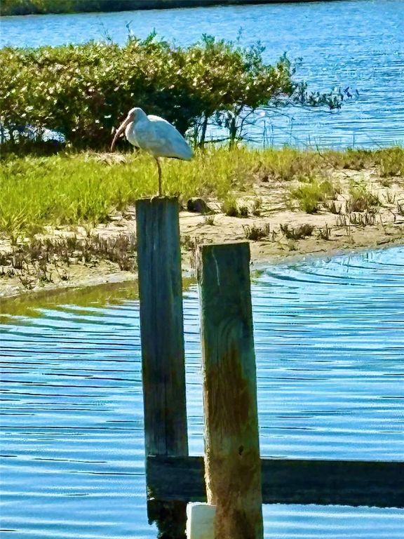 Image 18 of property listing at 75 OCEAN PALM VILLA S 75, Flagler Beach, FL 32136