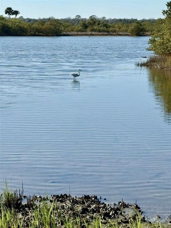 Image 21 of property listing at 75 OCEAN PALM VILLA S 75, Flagler Beach, FL 32136